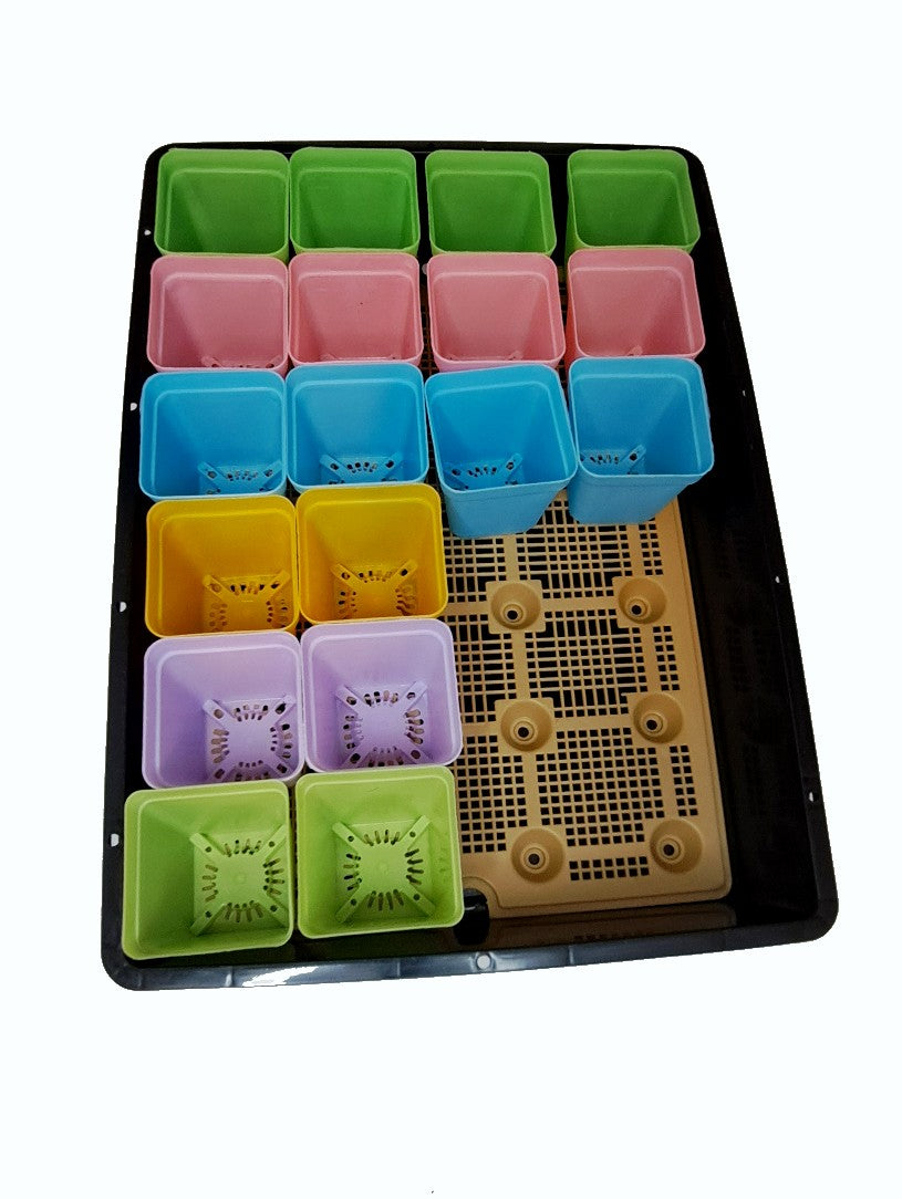 Heavy Duty Propagator Bin with Drain Hole and 3" Humidity Control Dome