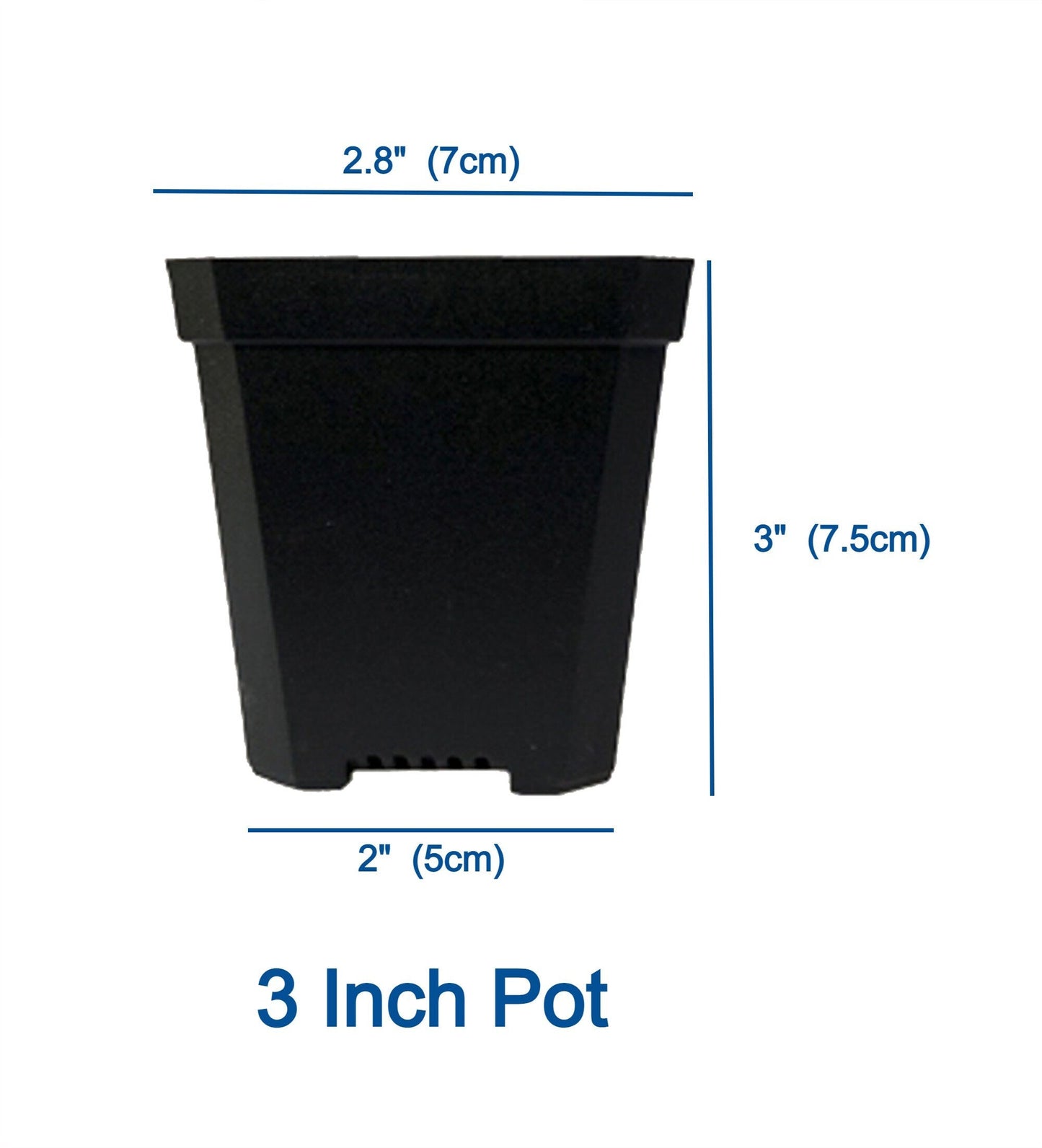 Heavy Duty Propagator Bin with Drain Hole and 3" Humidity Control Dome