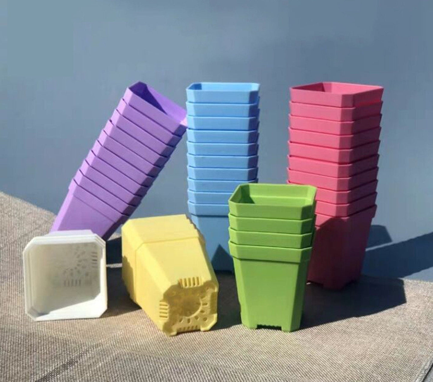 Heavy Duty Propagator Bin with Drain Hole and 3" Humidity Control Dome