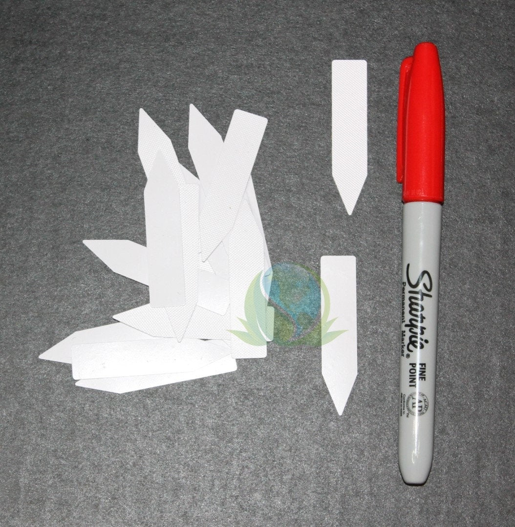 Plant Tags 2 inch White / Nursery Marker / Plastic Waterproof Garden Labels