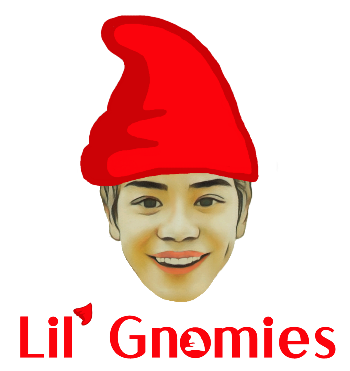 Lil Gnomies