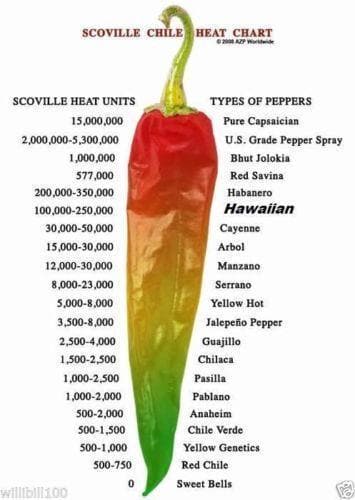 Hawaiian Chili Hot Pepper Birdseye Heirloom