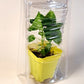 Live Plant Shipper 3.5 Inch S5 Shipping Clamshell Packaging