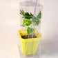 Live Plant Shipper 3.5 Inch S5 Shipping Clamshell Packaging