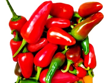 Hawaiian Sweet Hot aka WAIALUA Chili Pepper Seeds