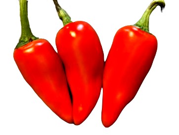 Hawaiian Sweet Hot aka WAIALUA Chili Pepper Seeds