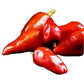 Hawaiian Sweet Hot aka WAIALUA Chili Pepper Seeds