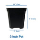 Heavy Duty Propagator Bin with Drain Hole and 3" Humidity Control Dome