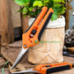 Pruner Garden Shears Leaf Trimmer Stainless Steel Straight Blades