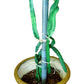 DRAGON TOWER 12 Inch Dragon Fruit Trellis