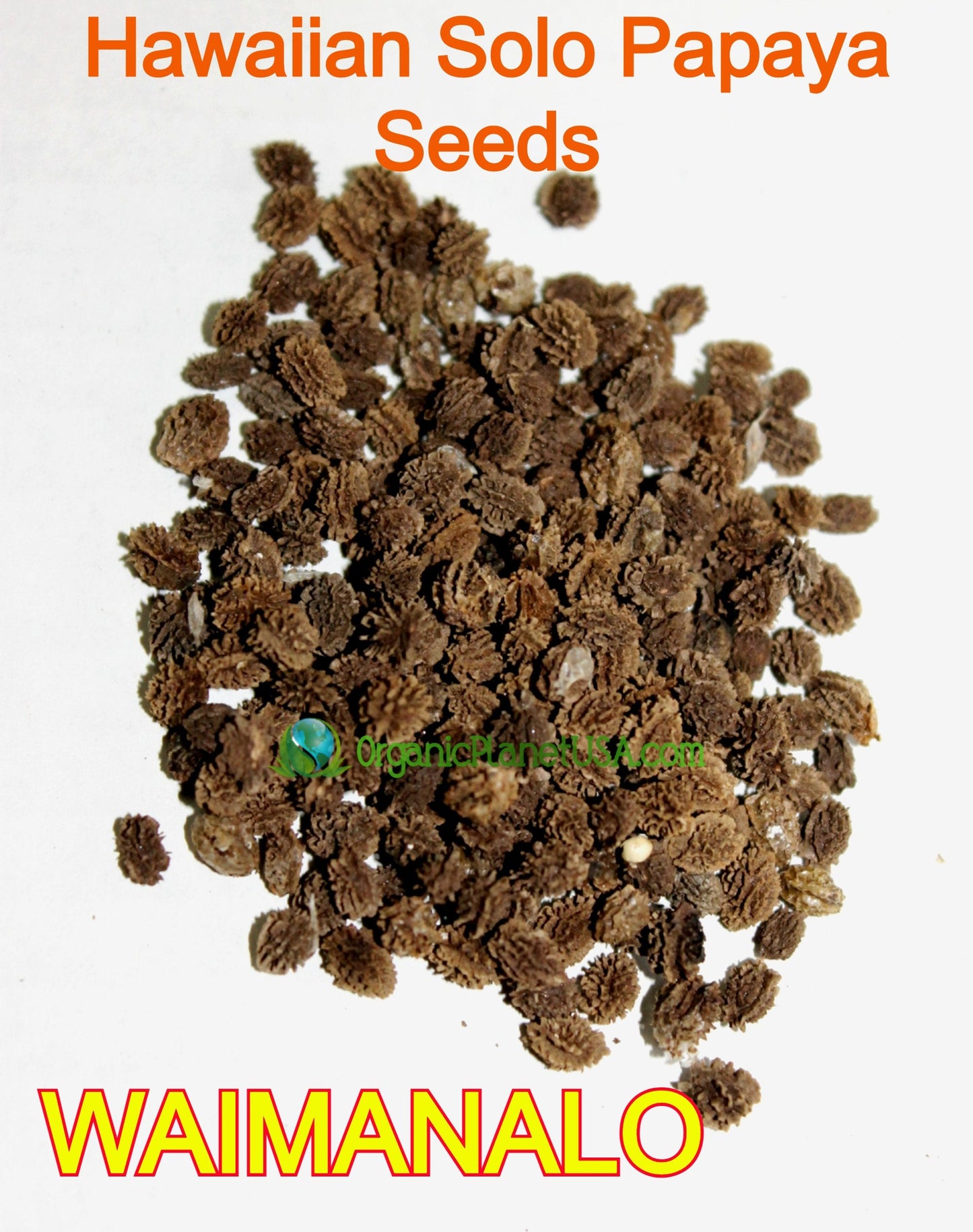 Papaya Seeds Hawaiian Solo Waimanalo (X-77) Low Bearing non-GMO Super Sweet